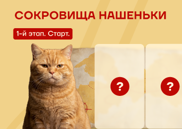 Игра началась: ищем сокровища Нашеньки!