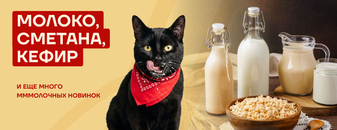 Новинки молочная продукция_апрель