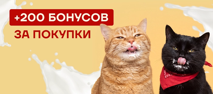 Топленое комбо: дарим 200 бонусов 