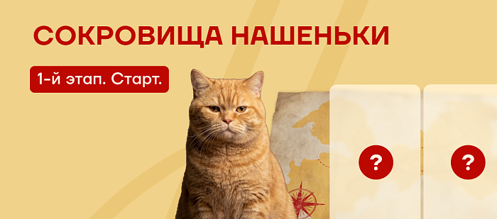 Игра началась: ищем сокровища Нашеньки!