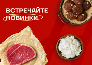 Новинки сезона